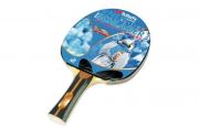 paleta-tenis-de-masa-butterfly-werner-schlager-bronze-1